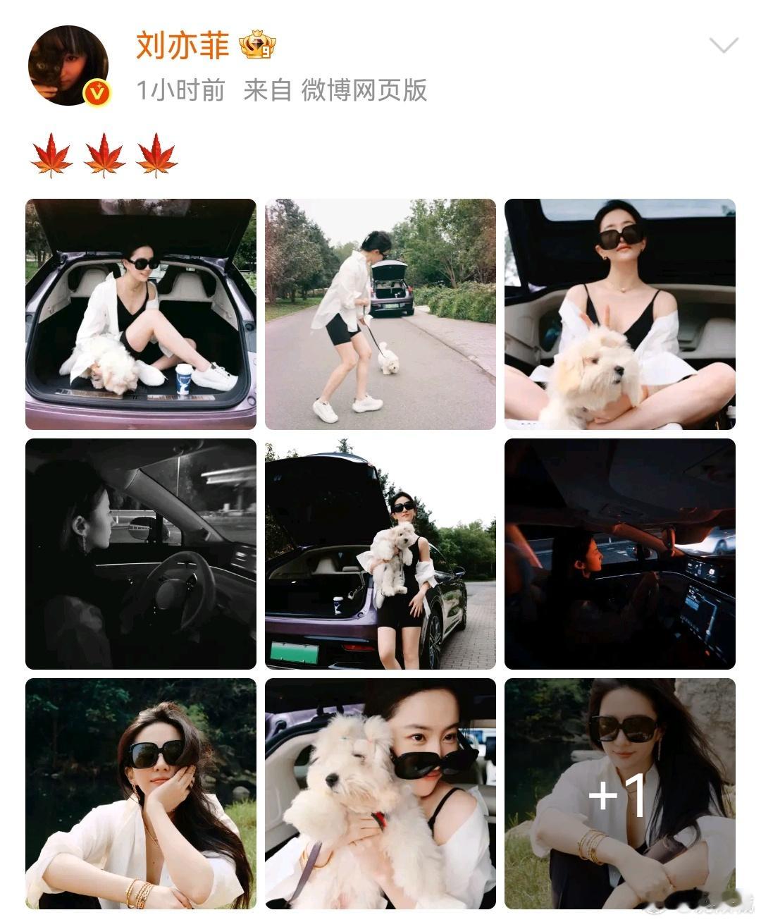 刘亦菲新狗狗刘亦菲近期在社交平台晒出了新狗狗的照片，这只小狗毛发蓬松，看起来像小
