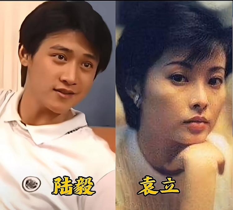 当年“永不冥目”主演，陆毅和袁立