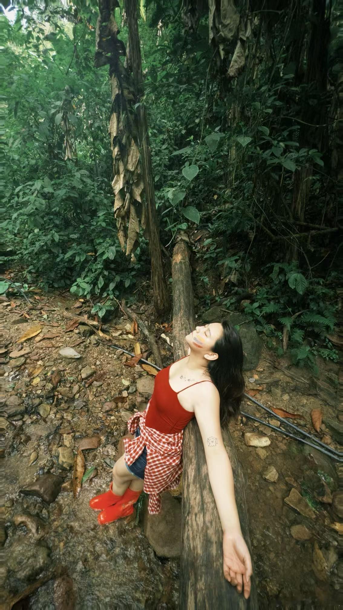 🌴🍃在雨林里躺躺 