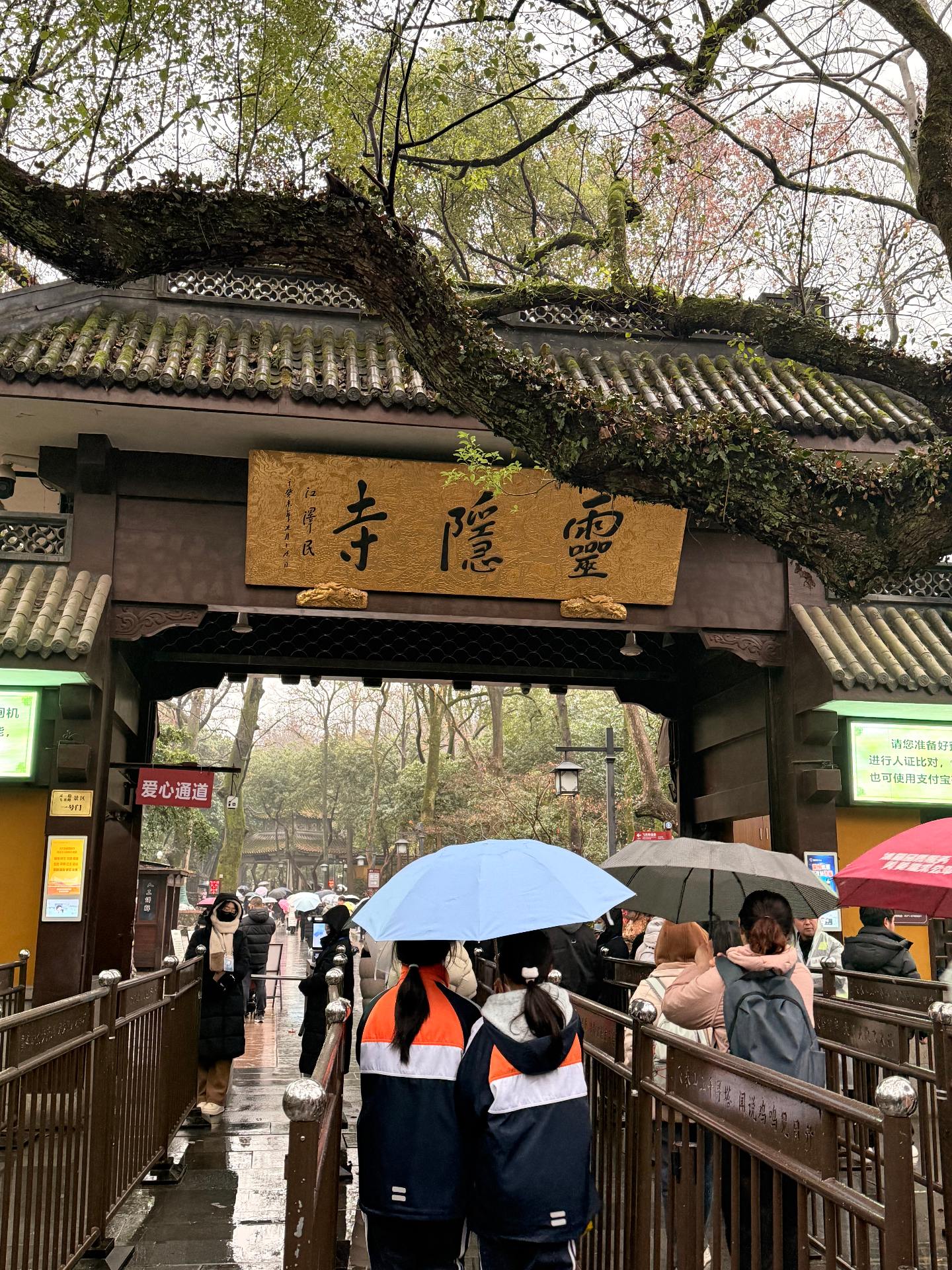 事在人为 不是无缘 只是不愿