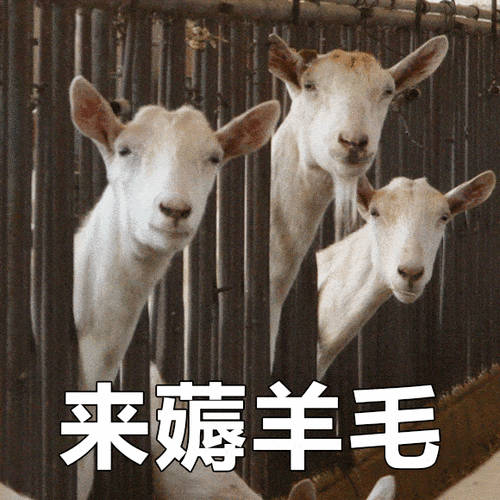 优思益价格合理，渠道正规，经过食品药品监督局监管的产品，不会有大毛病。市售的外国