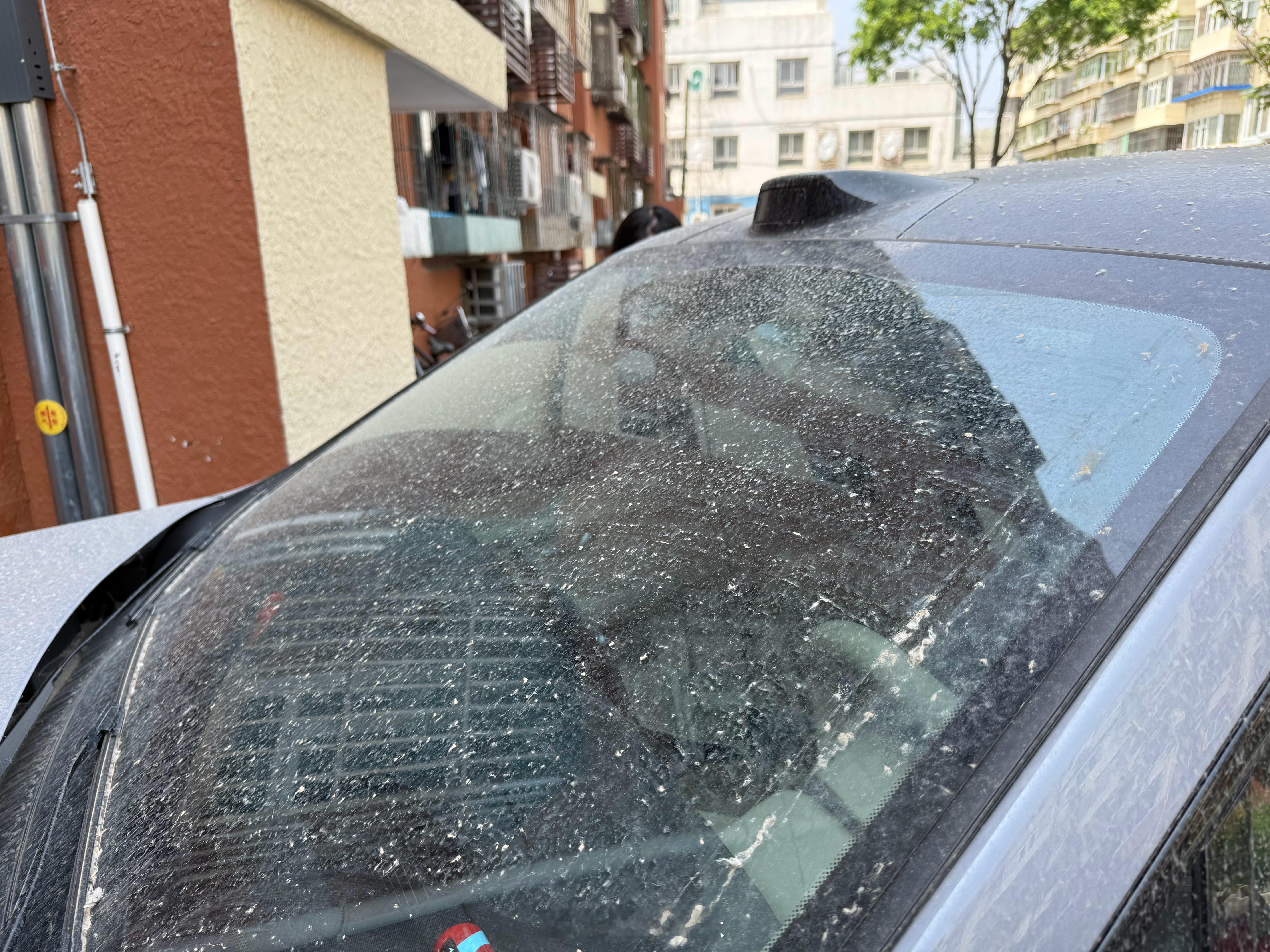 看下北京这个天气，五一前刚洗的车  ​​​