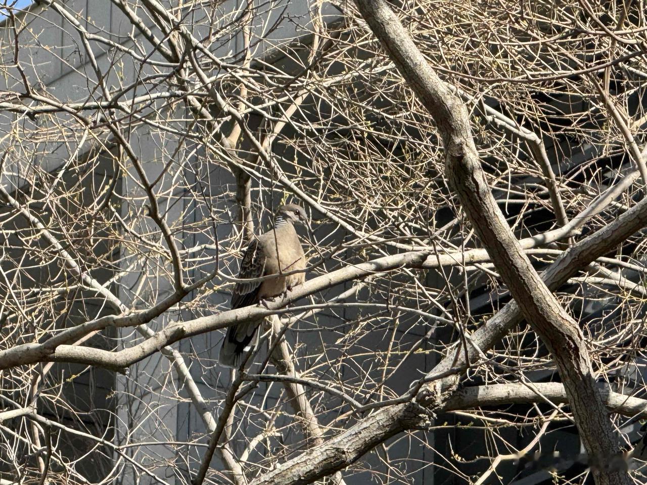 【小对联】
上：决战；
下：……？