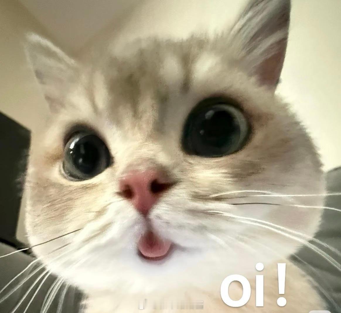 终于懂老人分不清ai的无力感了有时候看到一些AI生成的视频，自己也在想，这个是怎