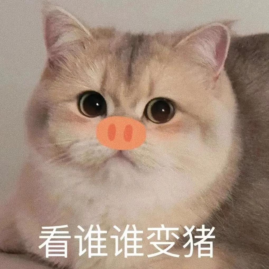 看谁谁变🐷表情包 #趣味表情包
