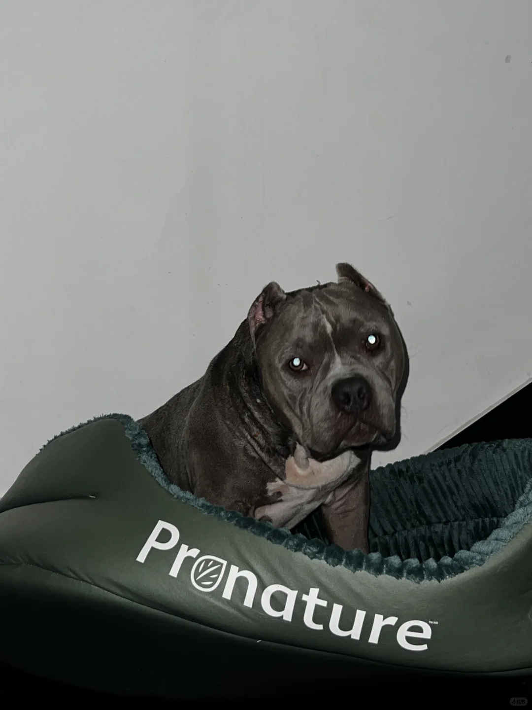 人家宝宝啊要😴😴😴😴🐷 你吵醒我了