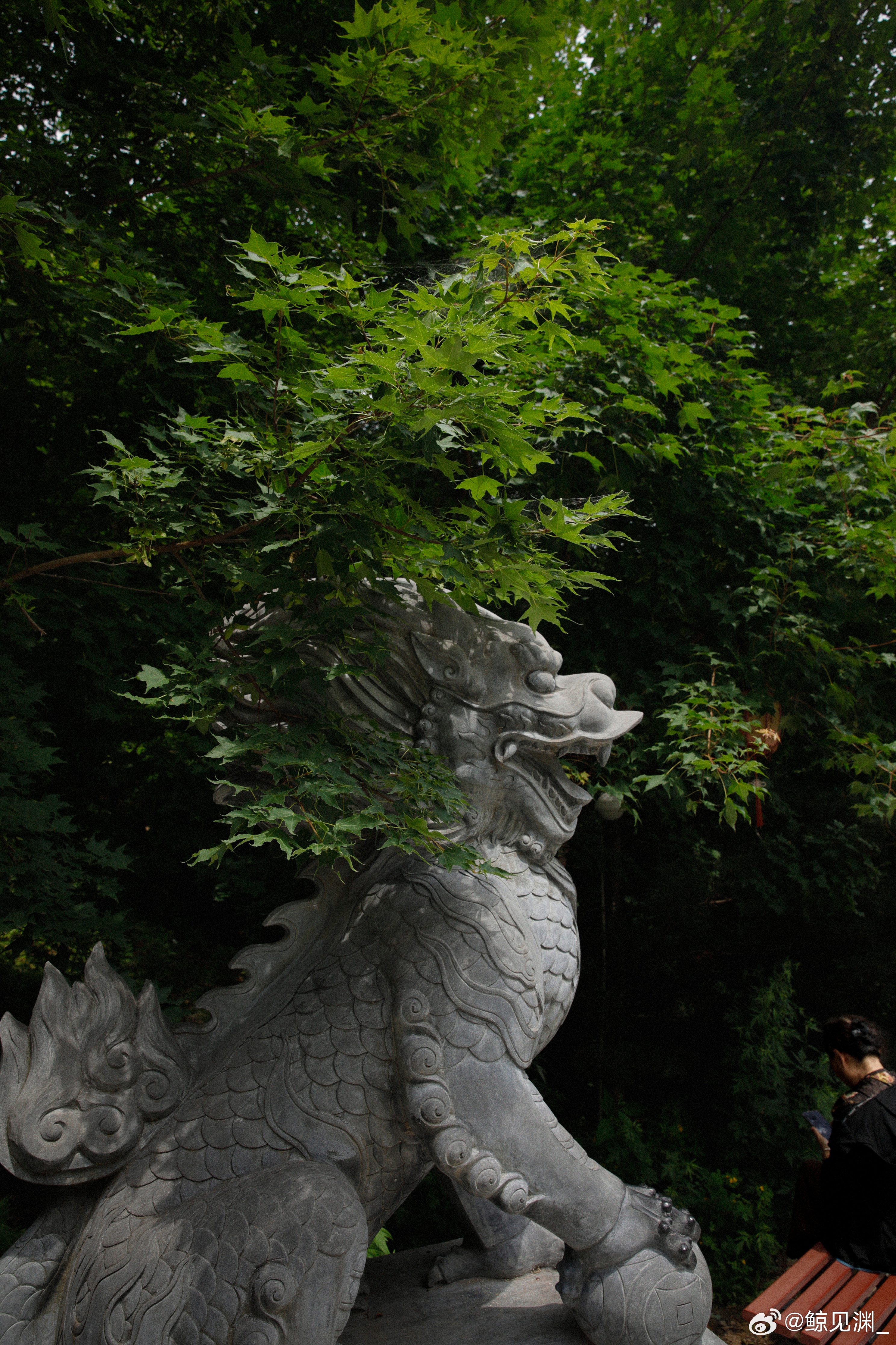 辽宁铁刹山来看最好的黑妈妈 想要一场充满仪式感的夏日旅行，就来辽宁铁刹山。农历六