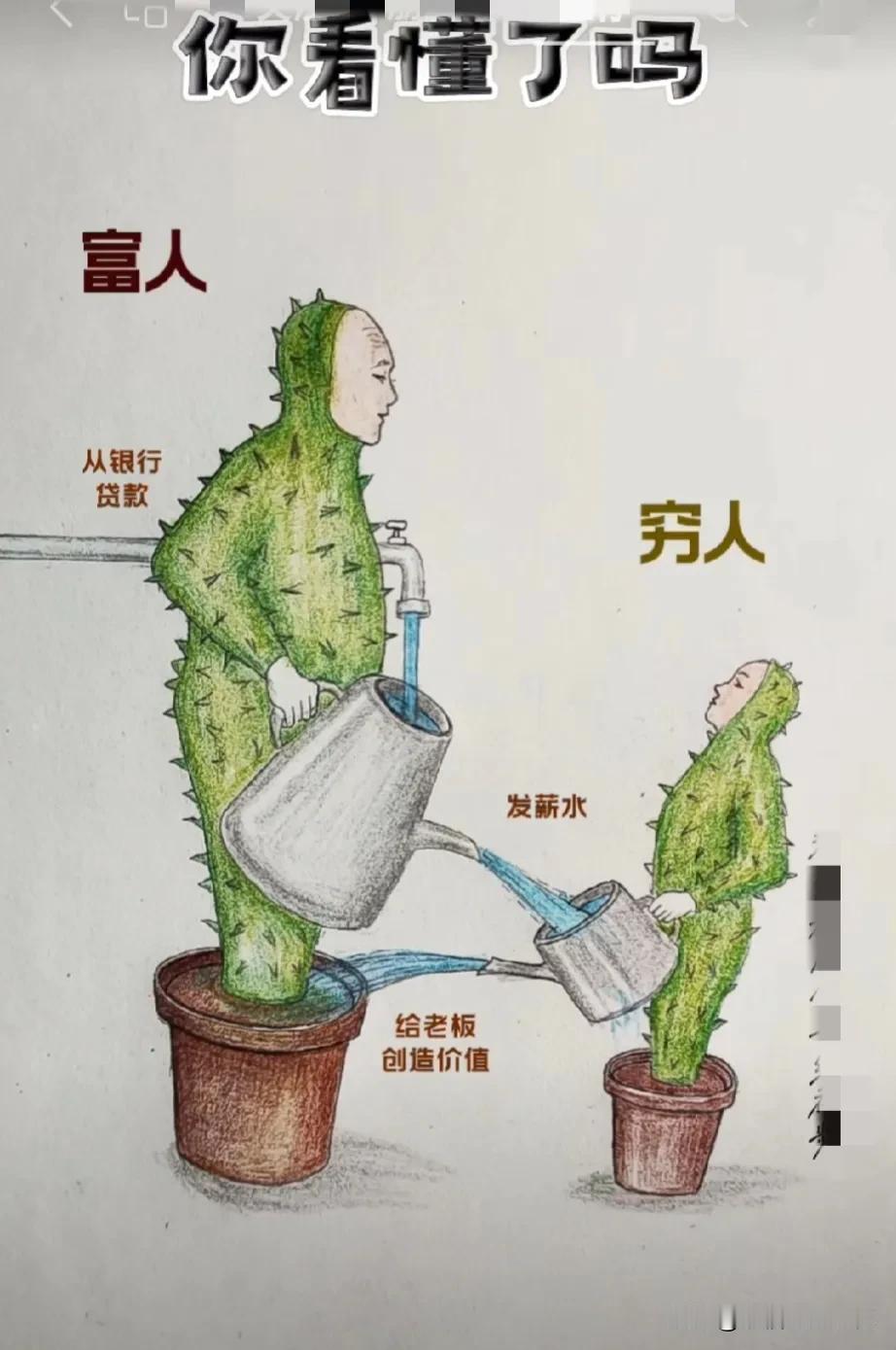 你看懂了吗？