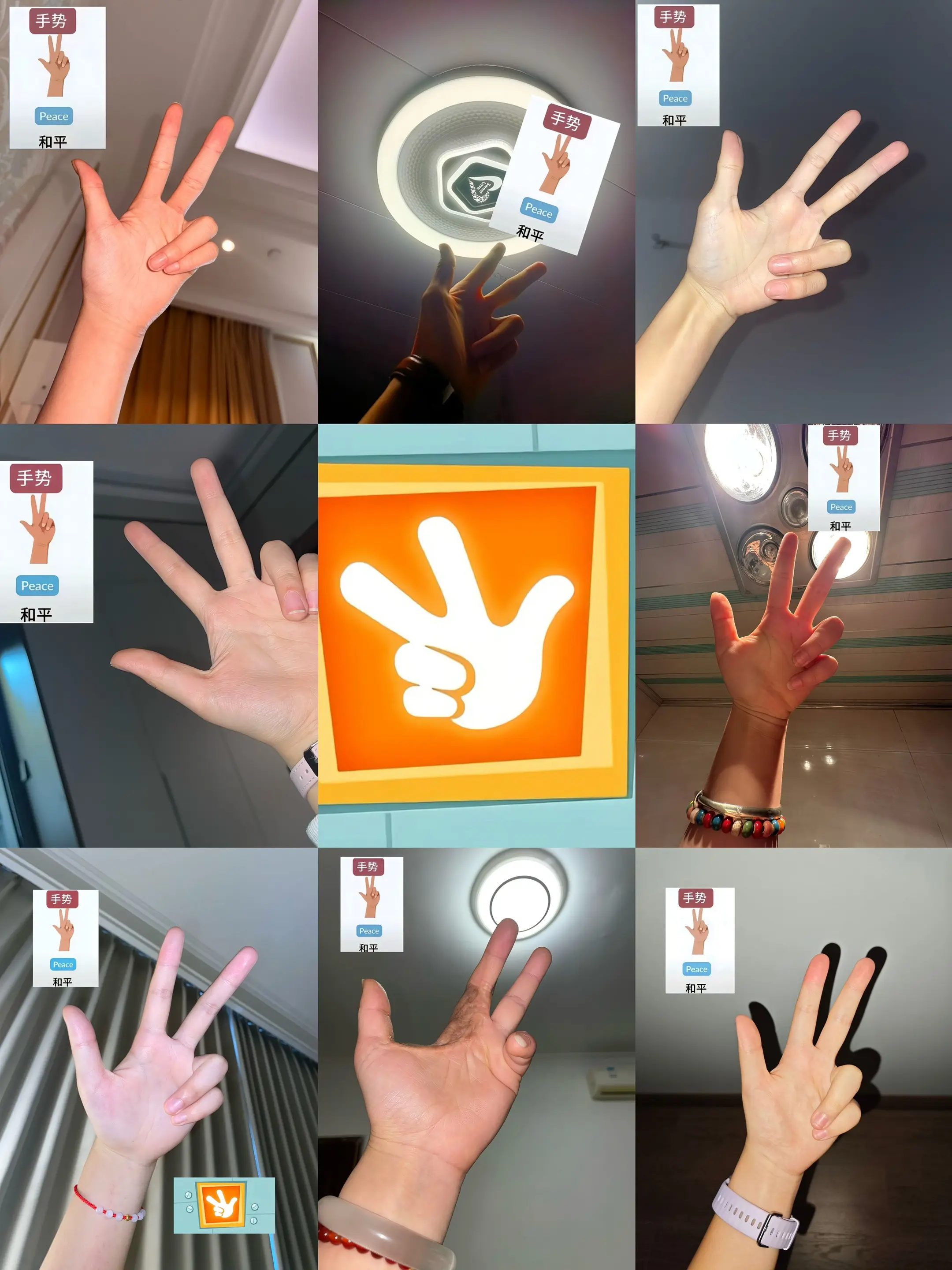 不论国籍，我们只愿世界和平