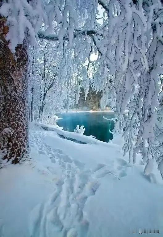 雪域冰原，晶莹剔透。时光深处有诗意，随遇而安觅清欢