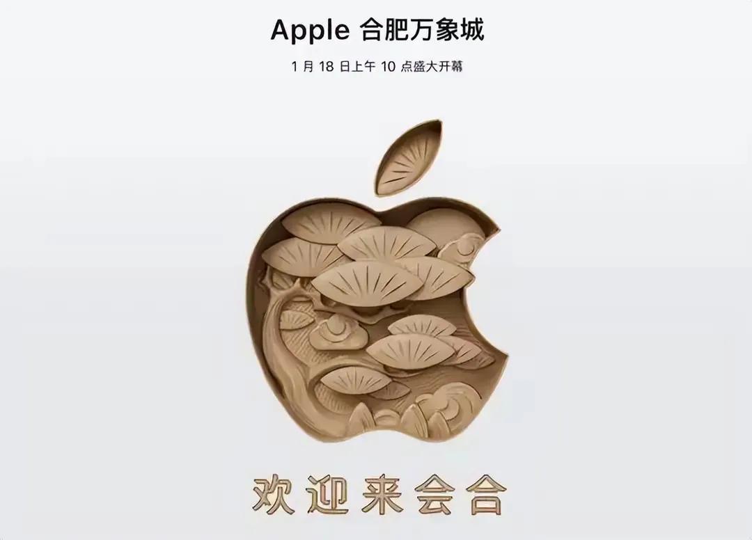 2025 年 1 月 18 日上午，Apple Store 合肥万象城零售店正式