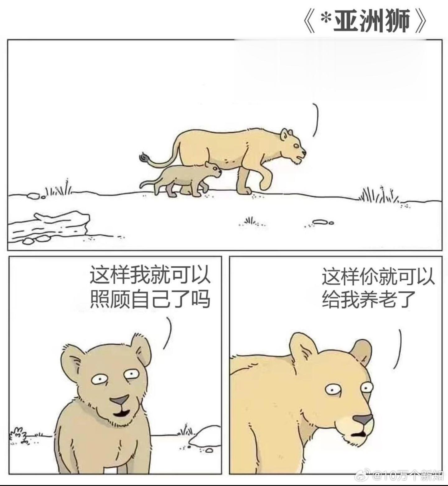 养孩子，就是为了预防自己老了，没有人来照顾自己，养孩子的目的，就是为了自己养老做