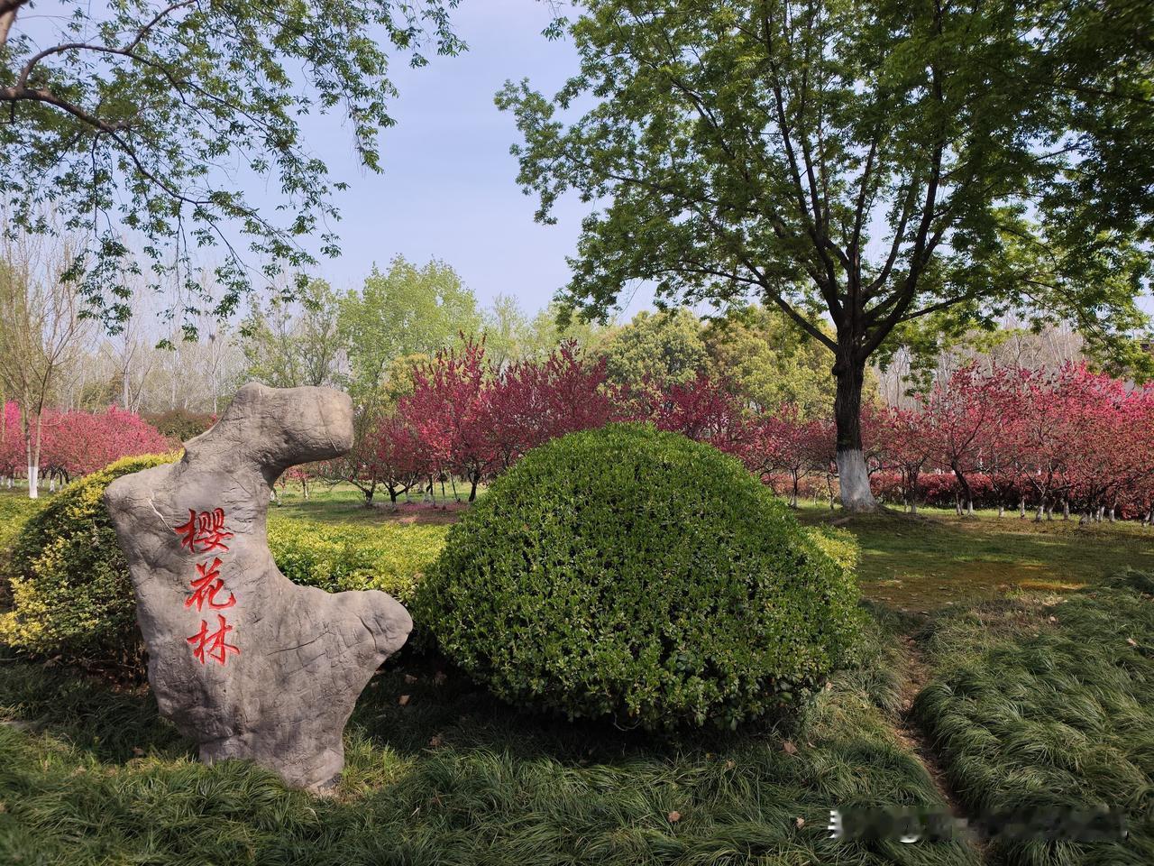 方兴湖的春天，藏着滨湖最美的浪漫。
​赴一场春日之约，在方兴湖遇见满眼繁花。
​