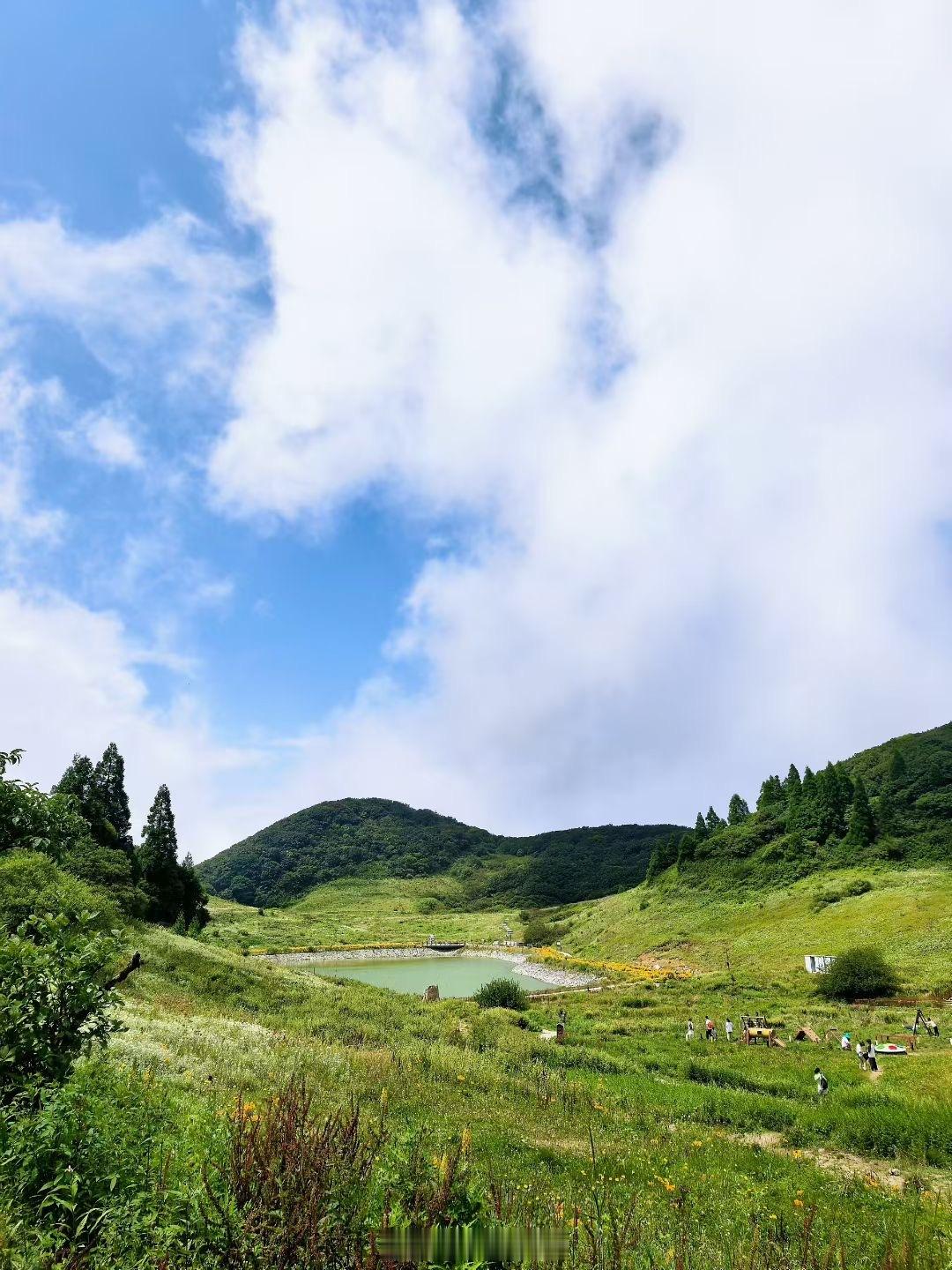 一笋一季一鲜​吹着北坡15度的山风，绕着海拔2200米的山雾，野竹林里现挖的山笋