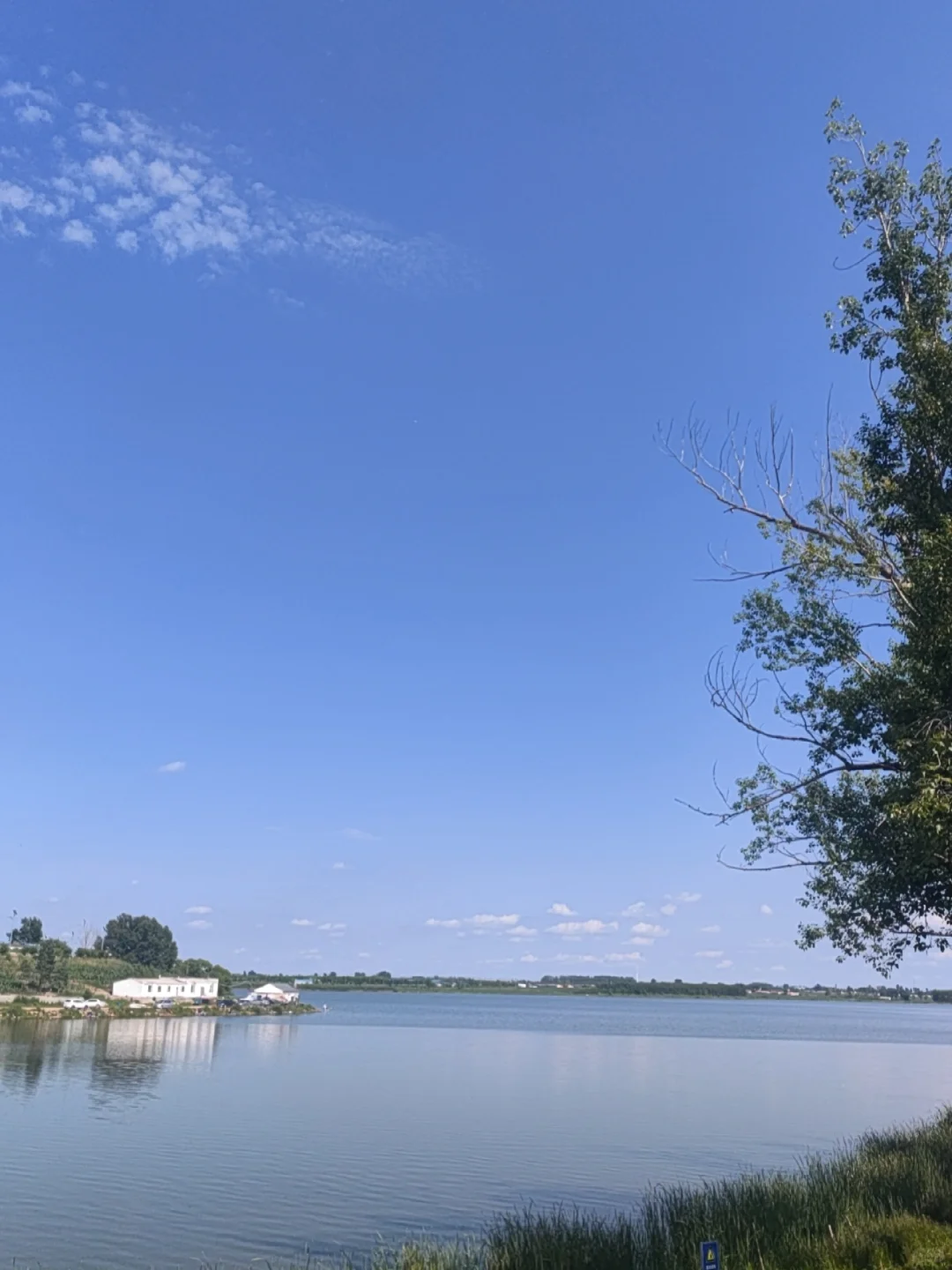 吵赢她！成年人为自己的结果和情绪负责