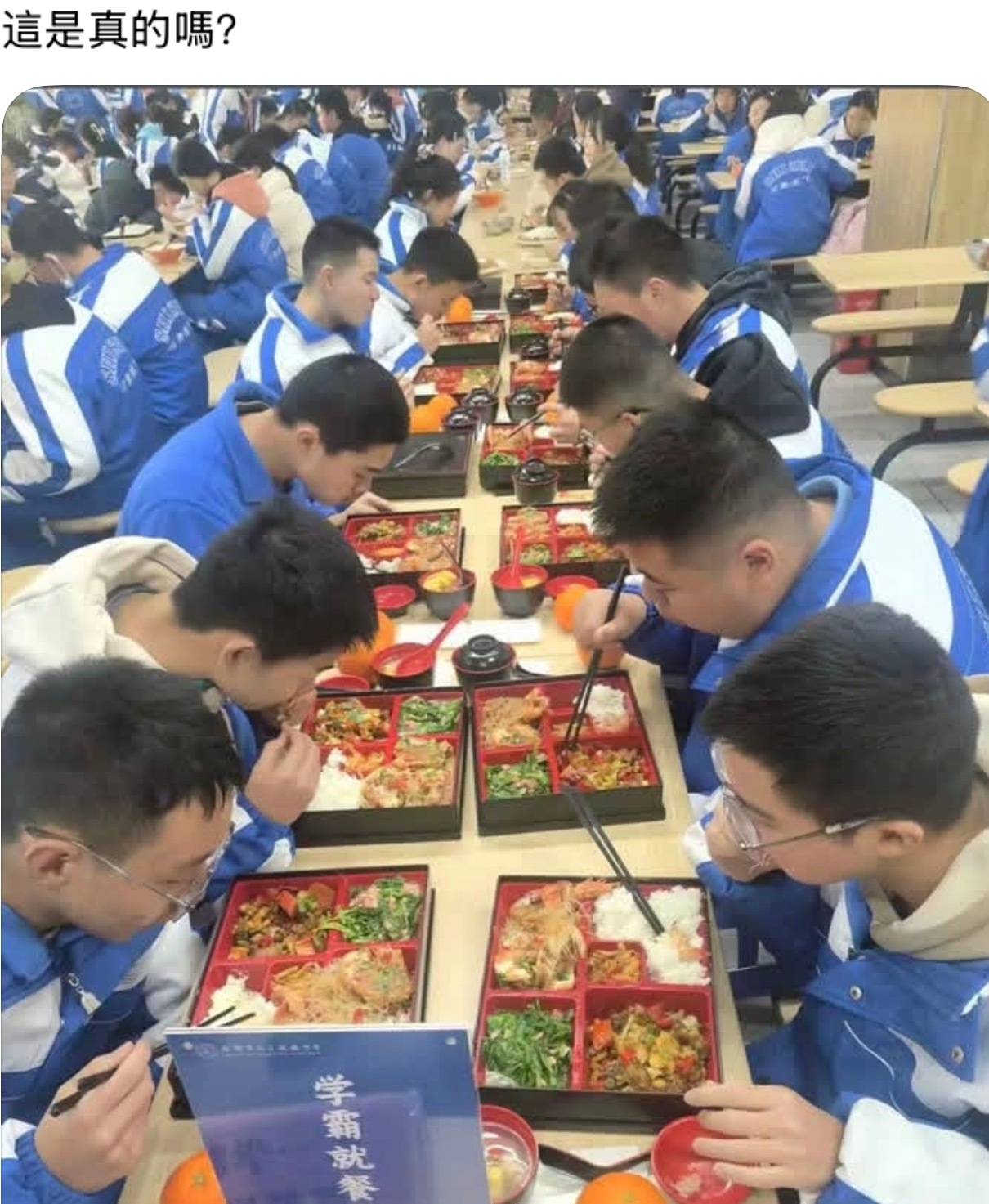 登陆日： 