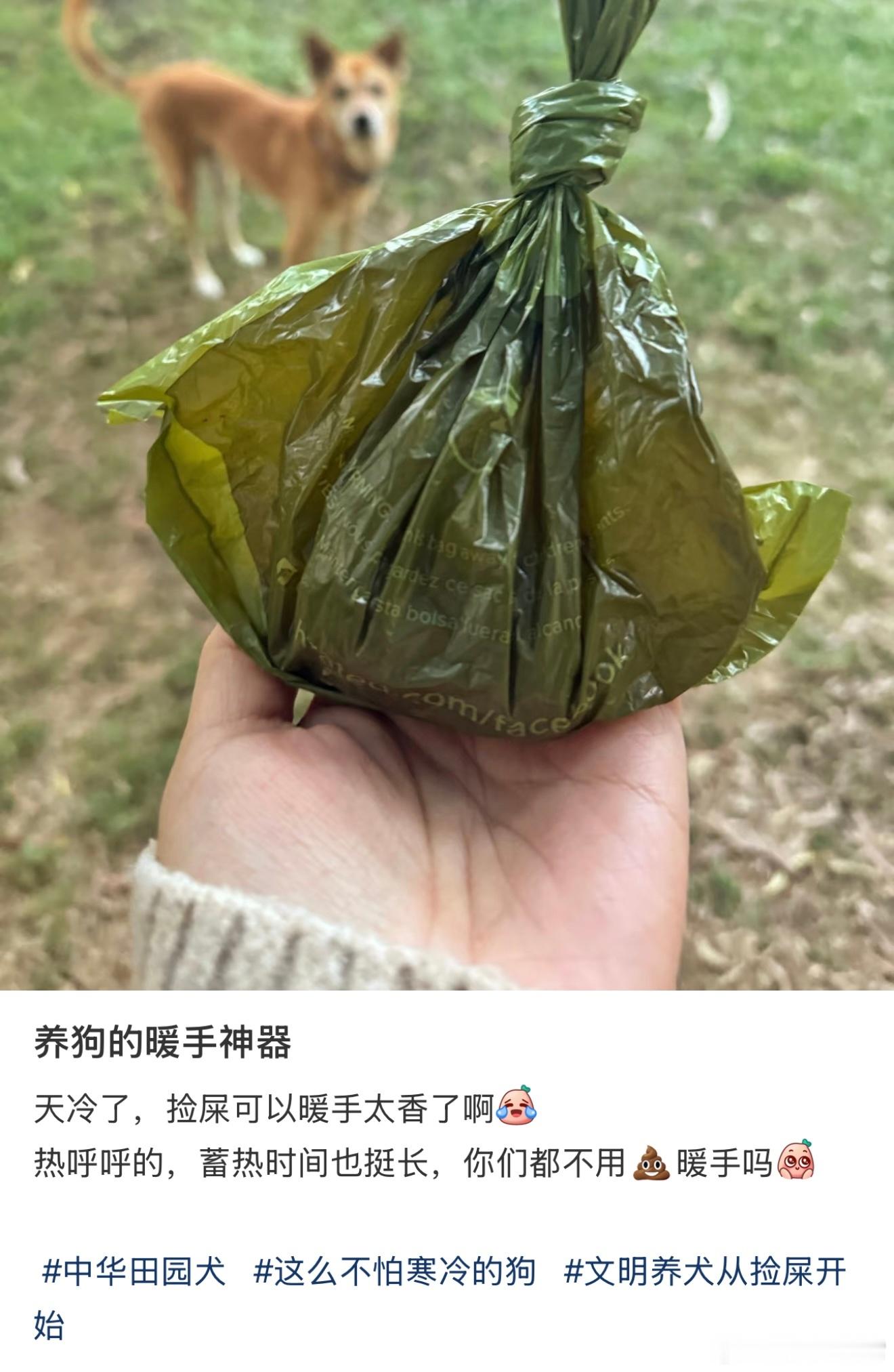 啊这………要我说还是网友接受度高，养狗的暖手神器，我寻思这也行？[费解][允悲]