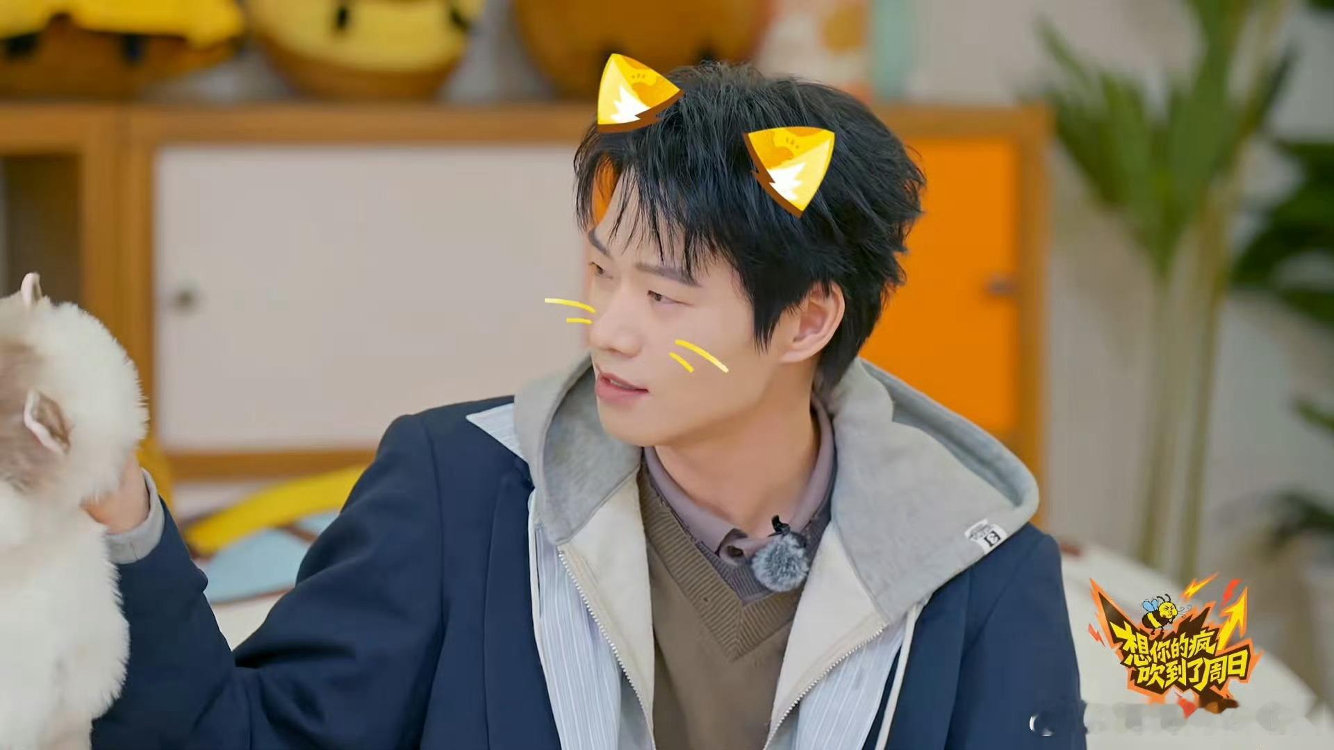 魏大勋还原摸猫神图名场面周五晚高疯 帅哥+小猫=顶级治愈！魏大勋拍摄间隙随手一拍