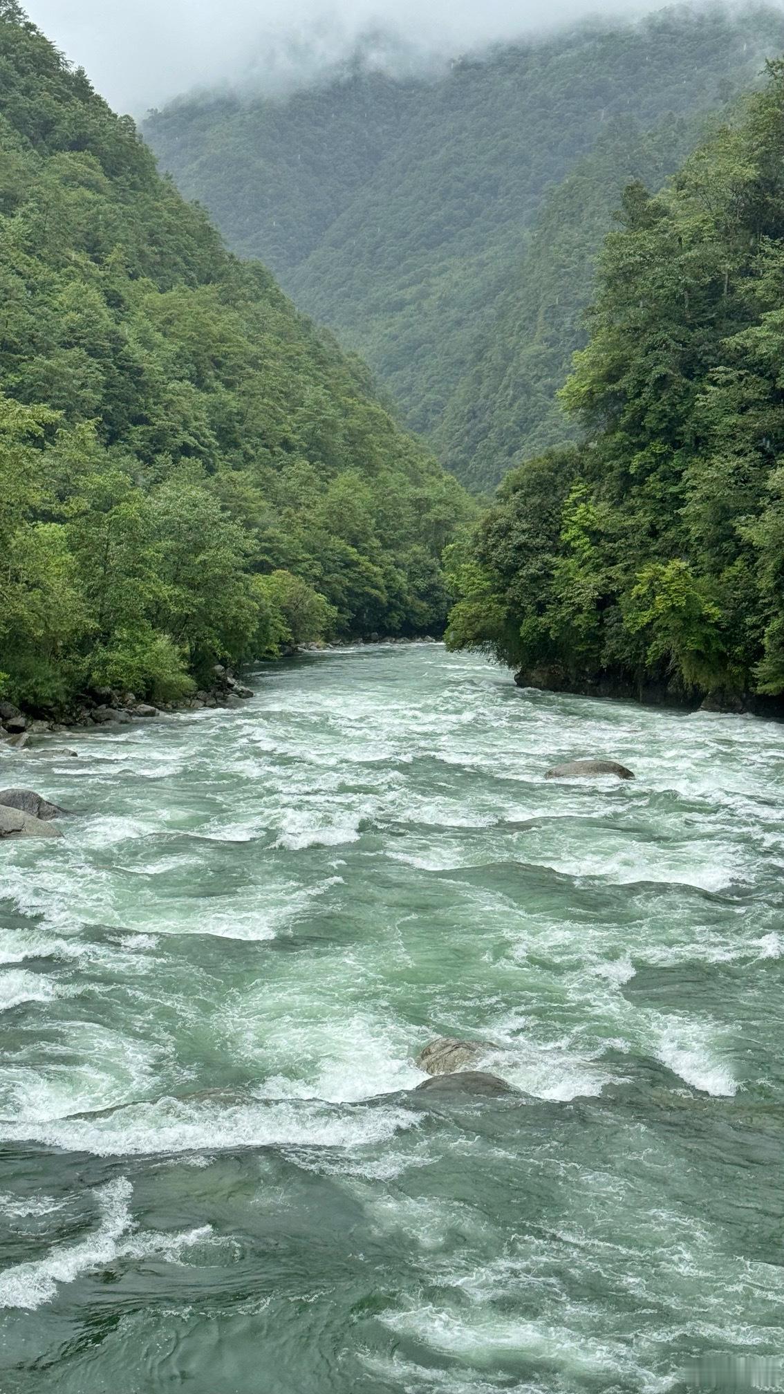 #iPhone拍照真实是优点吗#  拍风景真实点挺好，自拍、拍人情况下太真实的话