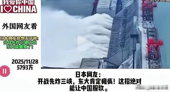 日本网友：开战先炸三峡，这招绝对能让中国服软。其他国家网友：脑子是个好东西！
