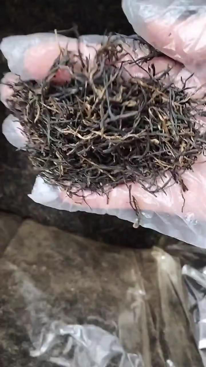 茶人茶事茶生活 ，