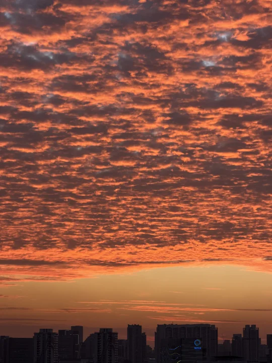 🇸🇬新加坡 ｜ 今晚的火烧云！ 太仙了！！！