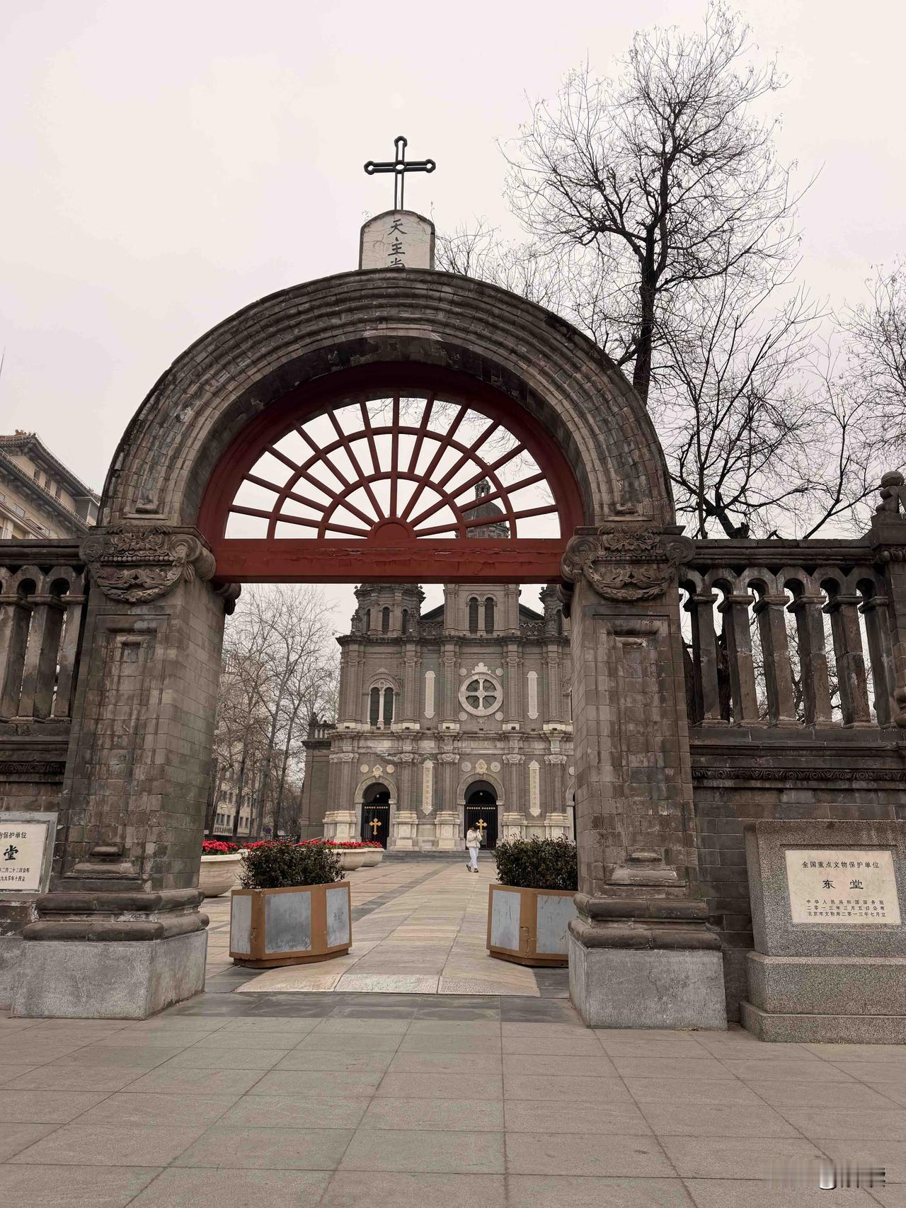 西洋罗马式教堂与中国国槐相映成趣，成为王府井闹市中独树一帜的文化地标。这些槐树植