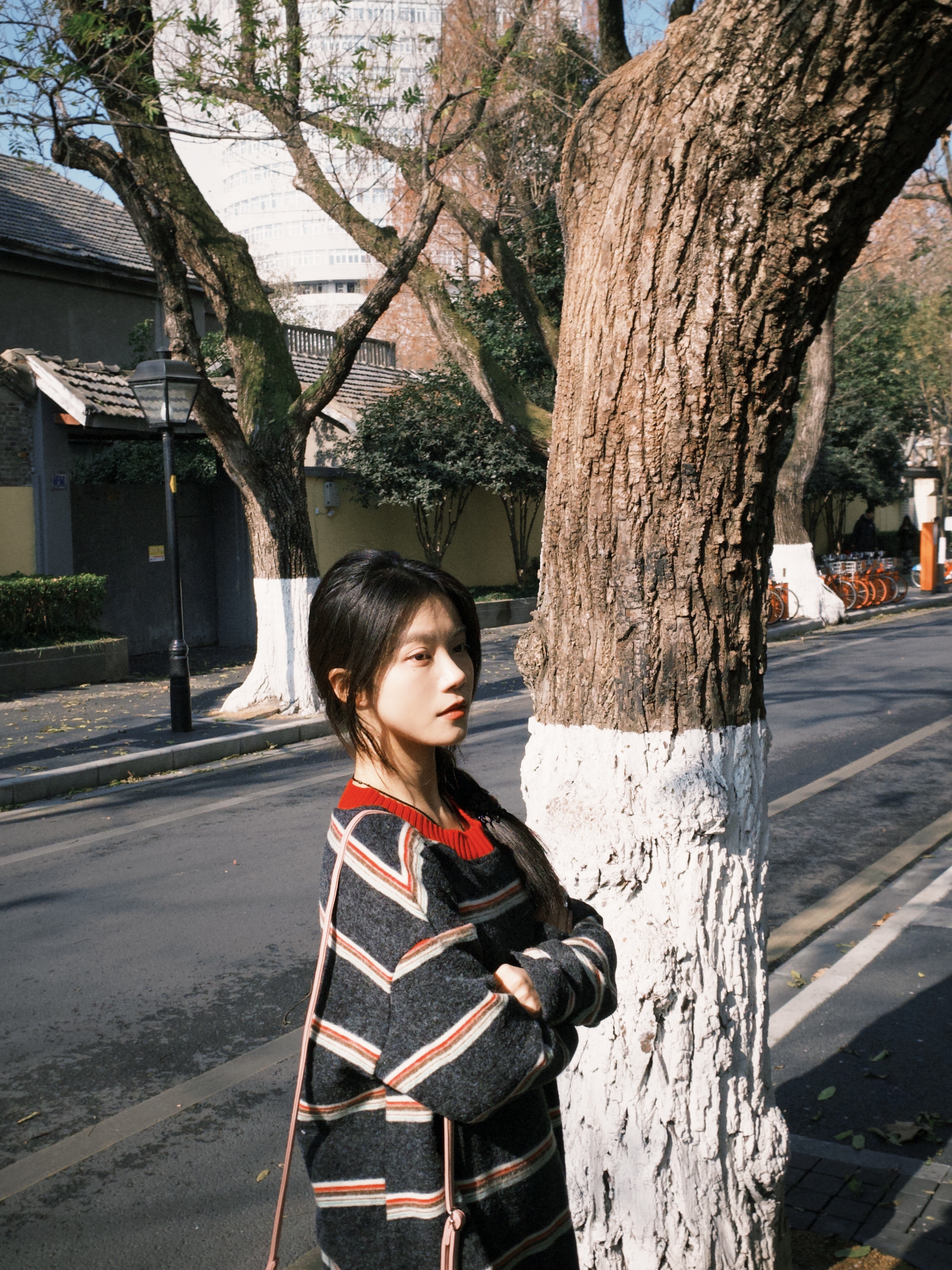 ^⎚˕⎚^ ੭ﾞ🐾🍁冬日漫步颐和路 