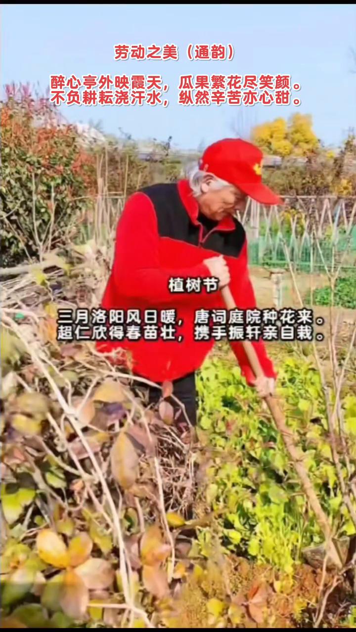 劳动之美(通韵)。
·醉心亭外映霞天，不负耕耘浇汗水，纵然辛苦亦心甜。
·植树节