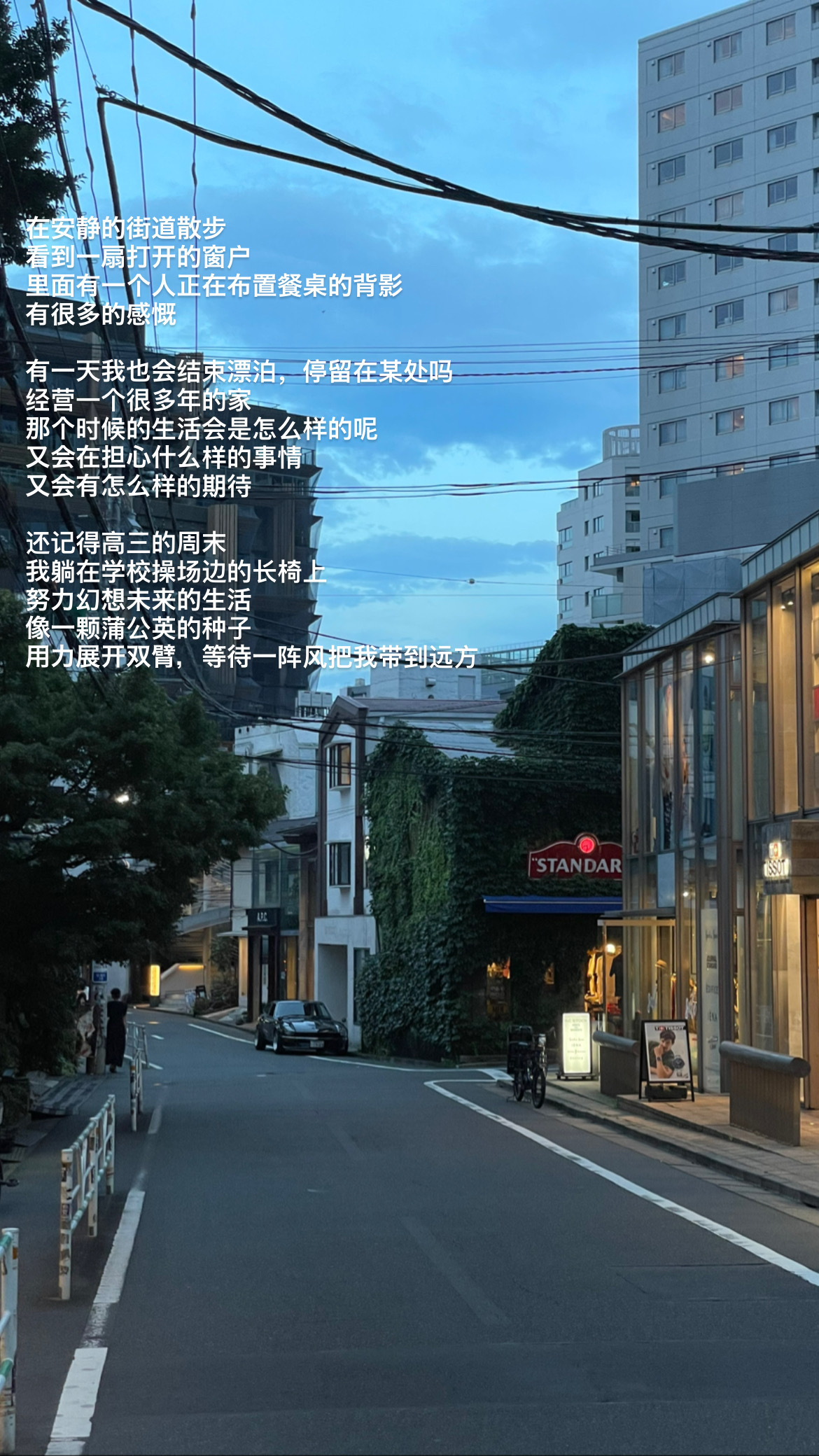 在夏天的旅程里，不断地告别和回忆，又会像一颗蒲公英的种子，用力张开双臂等待一阵风