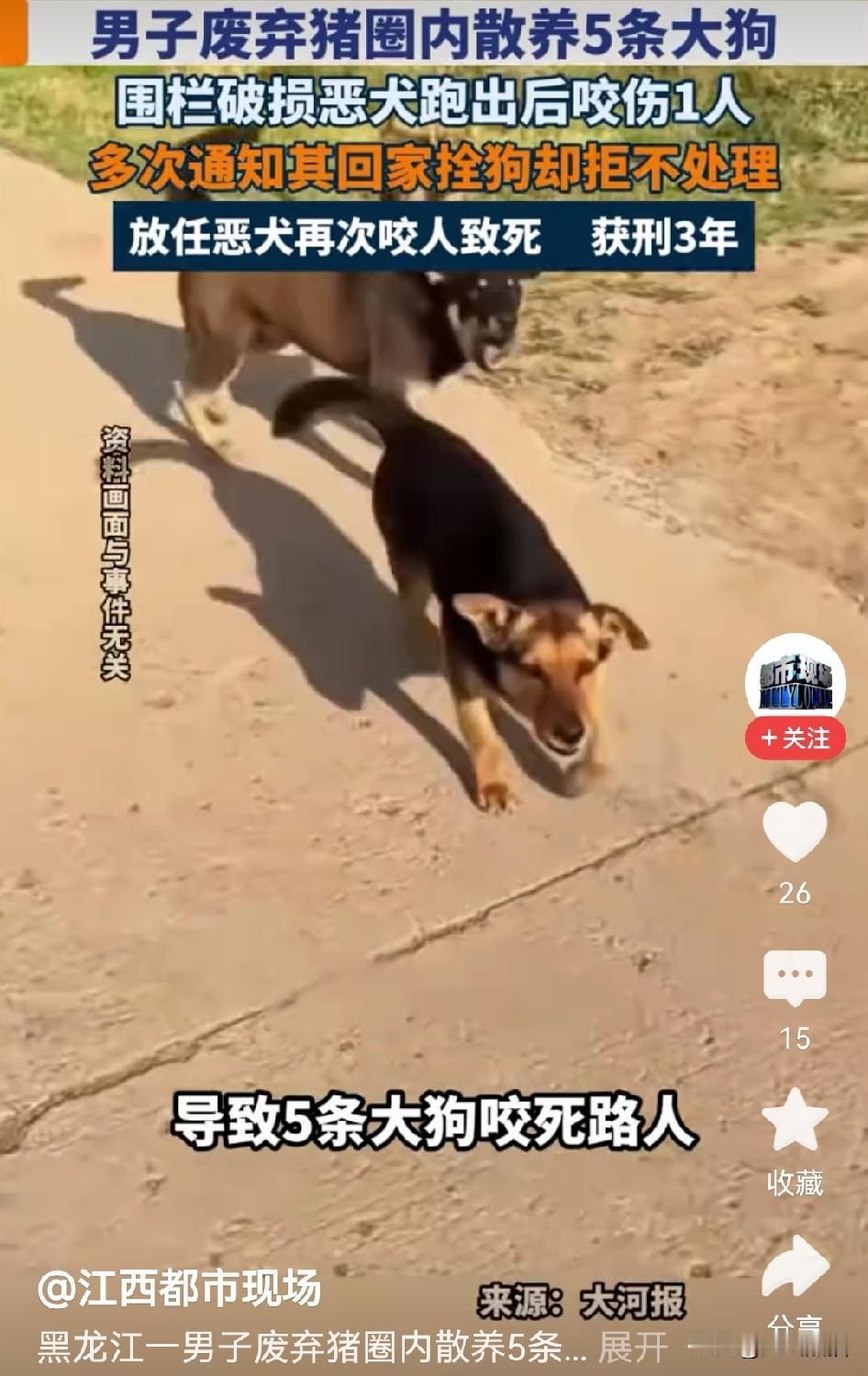 五只大狗先伤人，放任不管再咬死路人，实在让人心里难平！
黑龙江马某，家里养了八条