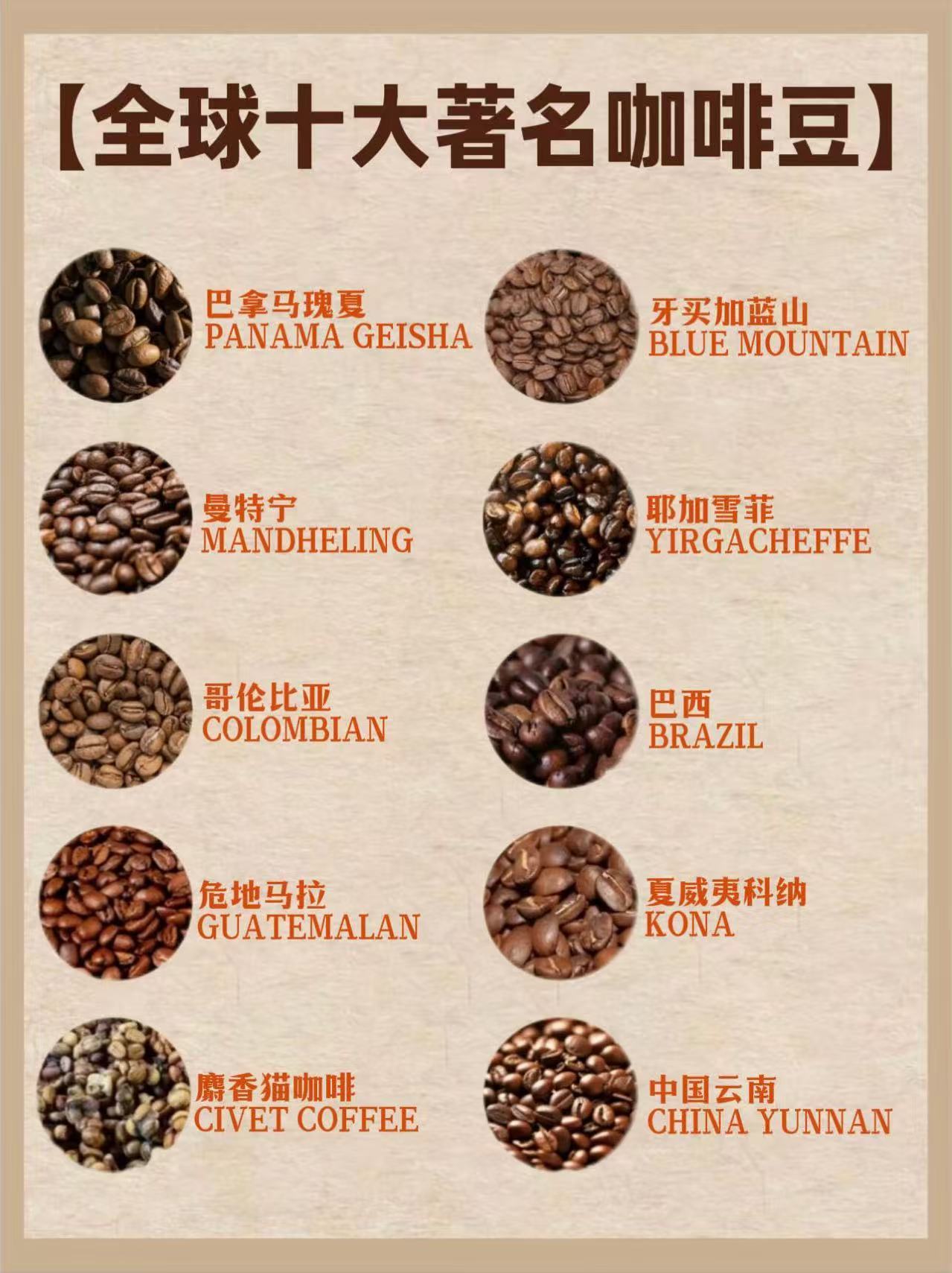 牛马也想试试顶级咖啡豆 牛马也想试试顶级咖啡豆 ​​​