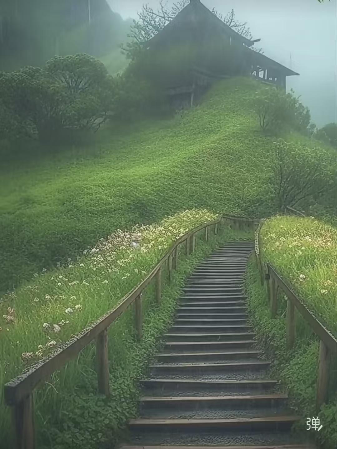 山坡羊·心净无忧
半山烟雨，
半生愁绪，
一念心轻尘烦去。
向幽隅，远尘趋，
空