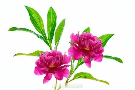 年过六十，顶级养生，悟透八字足矣1. 勤动凡事尽量自理，买菜做家务适度活动筋骨。