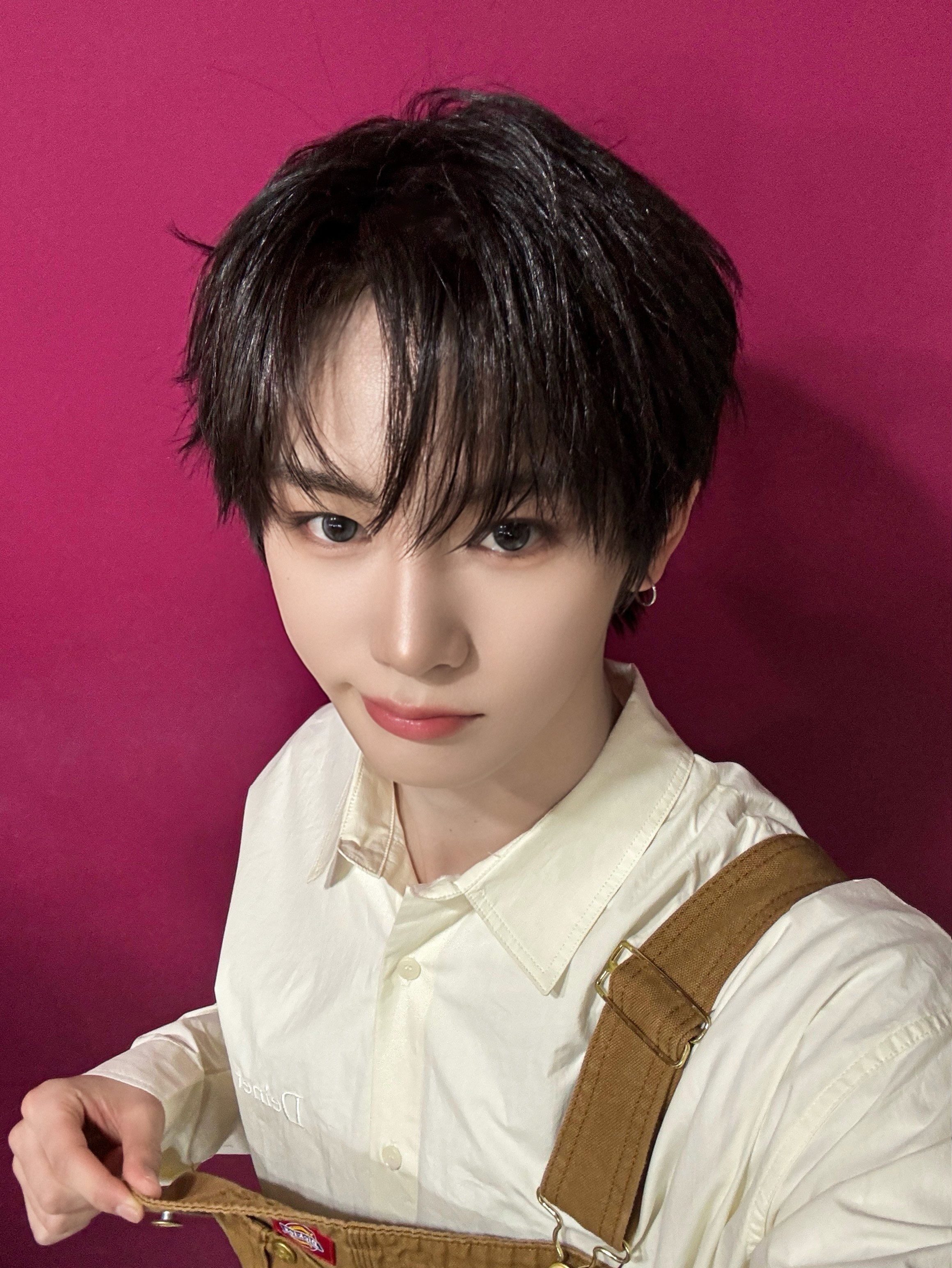 全世界最可爱的猫猫🫳🫳 