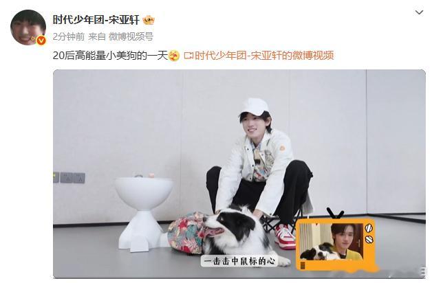 宋亚轩和小狗鼠标的一天宋亚轩合格的铲屎官 欢迎收看宋亚轩和他的小狗鼠标的vlog