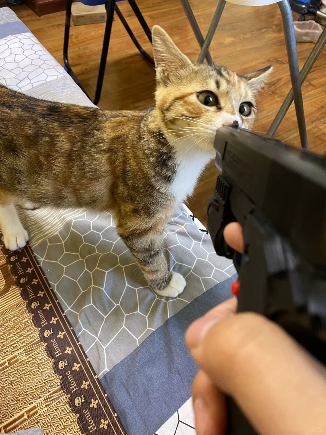 枪 吻 玫 瑰🌹