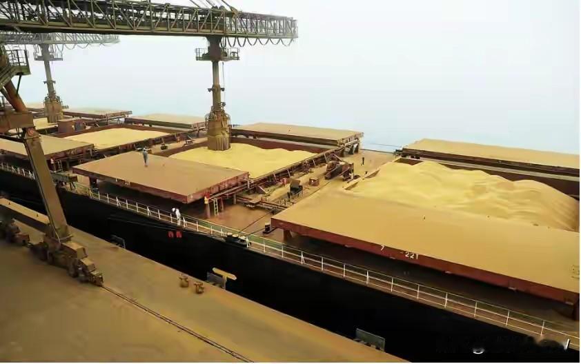 中国开始购买美国大豆啦！这是对盲目涨价的巴西最好回应，巴西人做梦没想到美国会对中