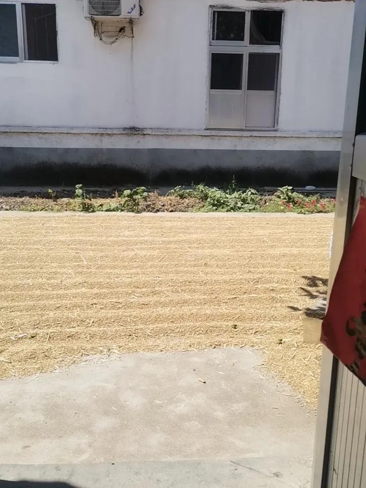 坐标潍坊安丘，在9点50左右，出现了不明原由的两声爆响，啥原因？有木有知道的，请