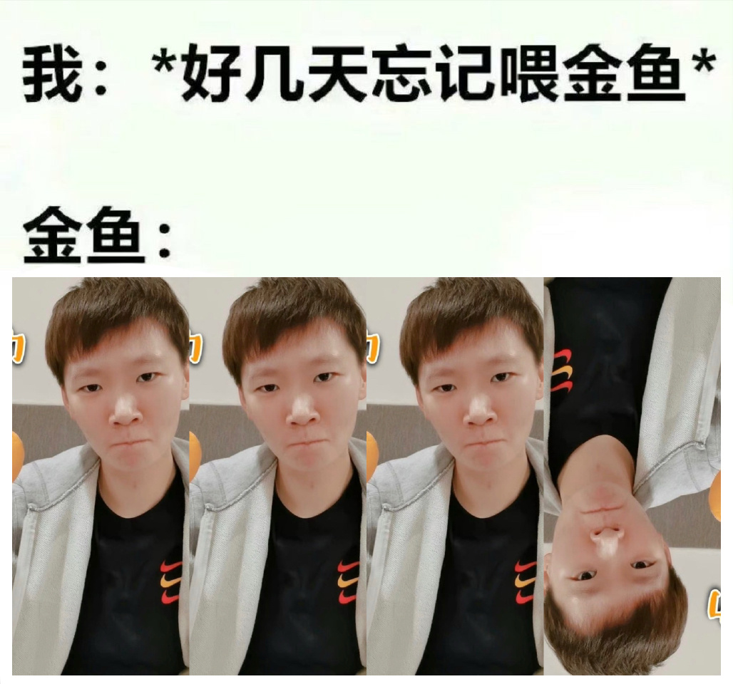 ◟(˶> ᎑ <˶)◞♡  专栏 · memes…