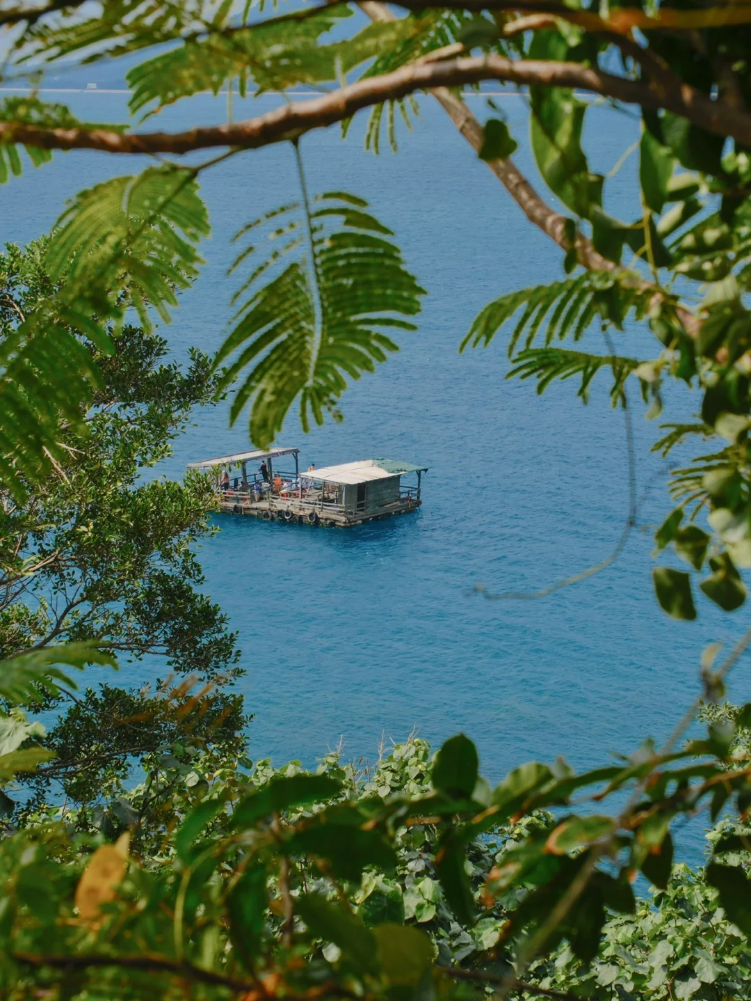 Isla de primavera