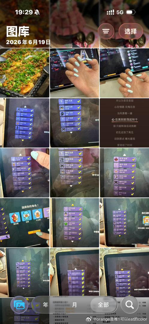 鹅鸭杀  玩鹅鸭杀的相册就这样