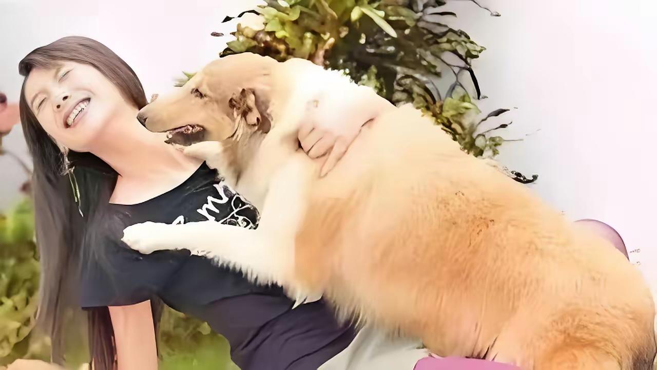 现代人为什么养宠物的越来越多?靠宠物陪伴休闲，在宠物依偎中获得慰藉，宠狗🐕而不