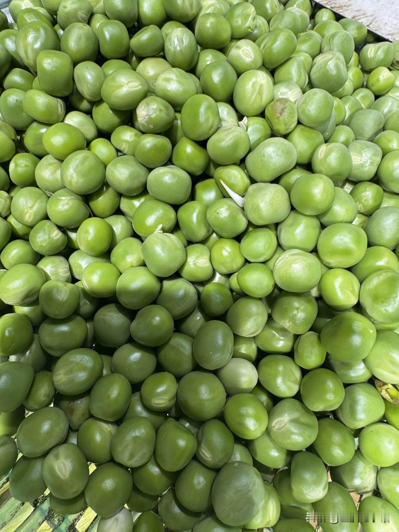 我发现一个秘密，现在有的人做生意为了少浪费、多赚钱，生鲜损耗要压到最低，不管是瓜