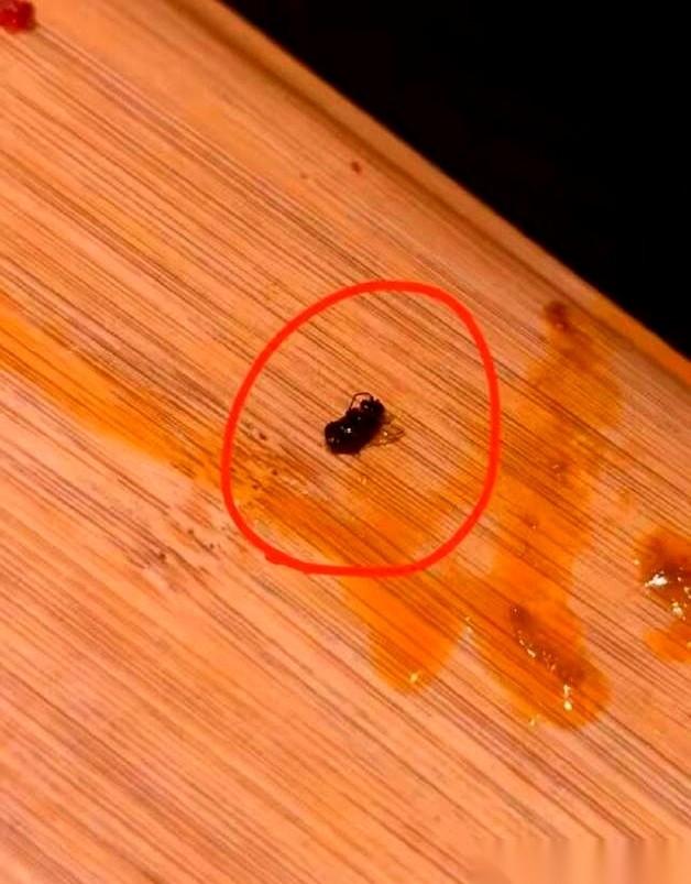 一顿火锅吃出一只苍蝇，顾客把筷子一搁，只提了一个最基本的要求：“这单免了吧。”