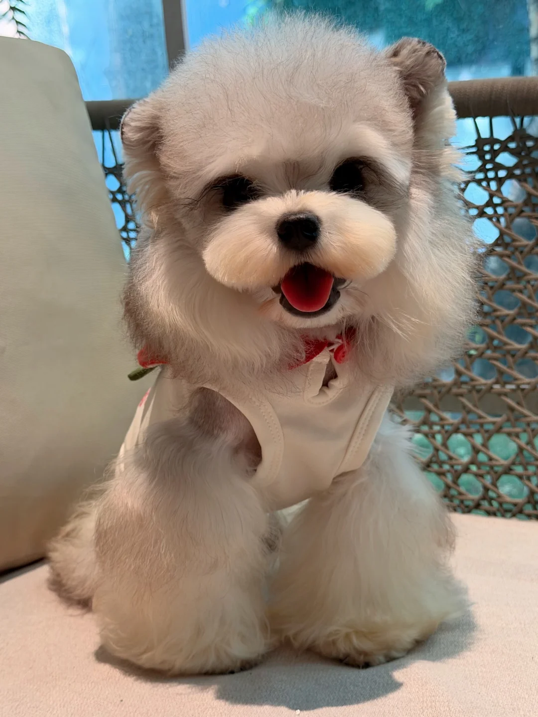 宝宝 你是一个大头🐻