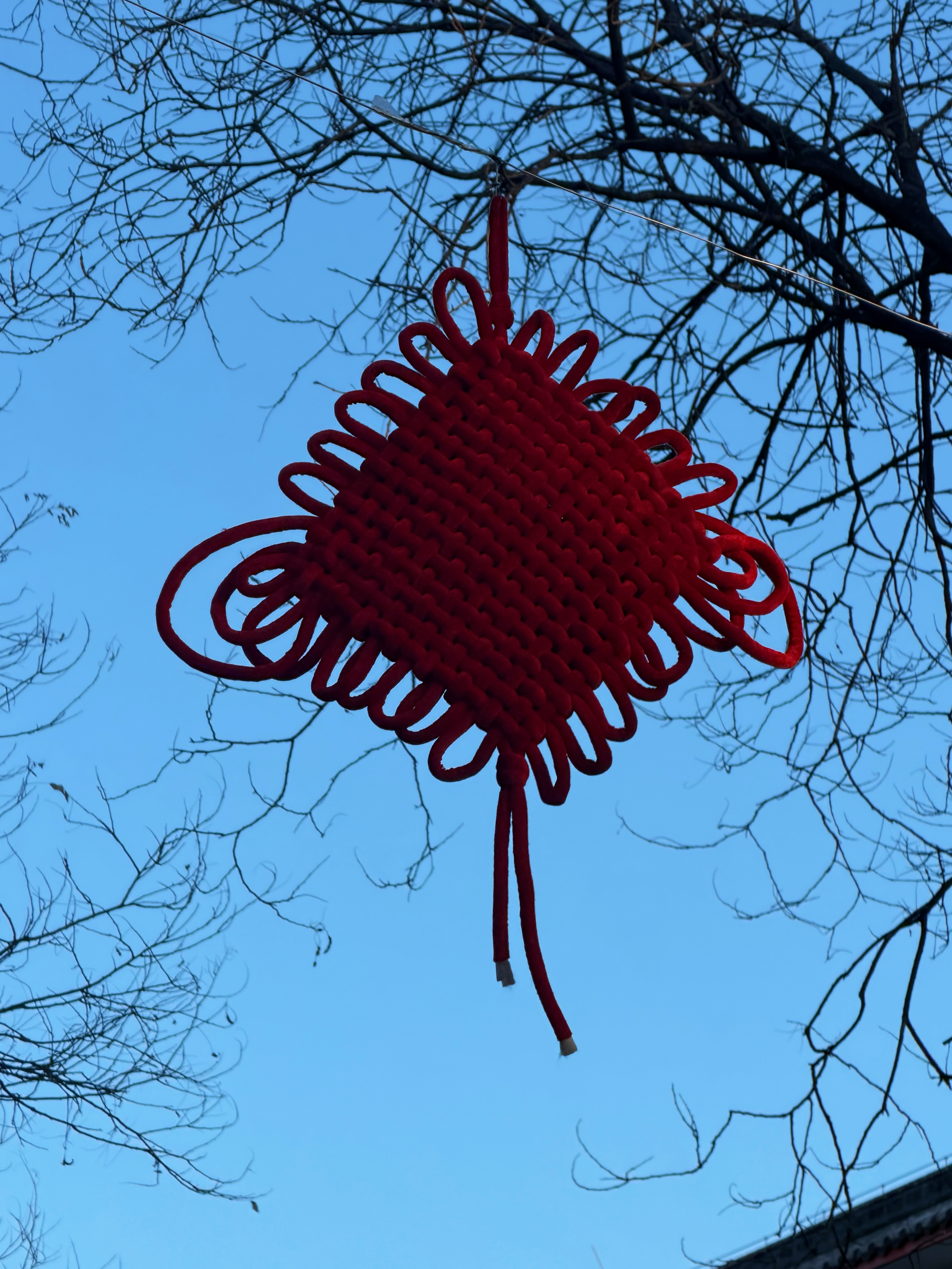 自拍含量偏高马年大吉合你在一起