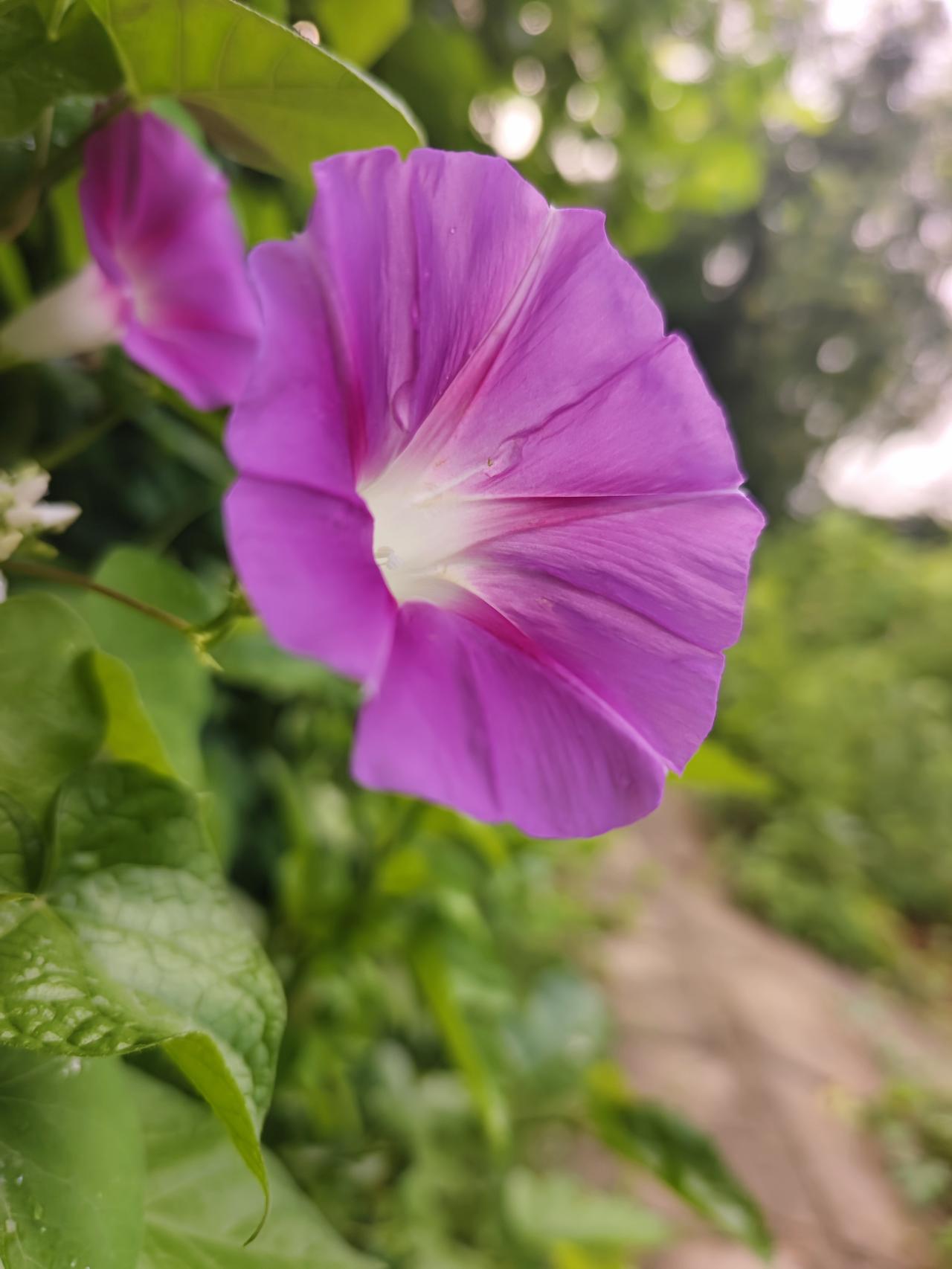 遇人如遇花，无需太多，
 开在心上，一朵即可。