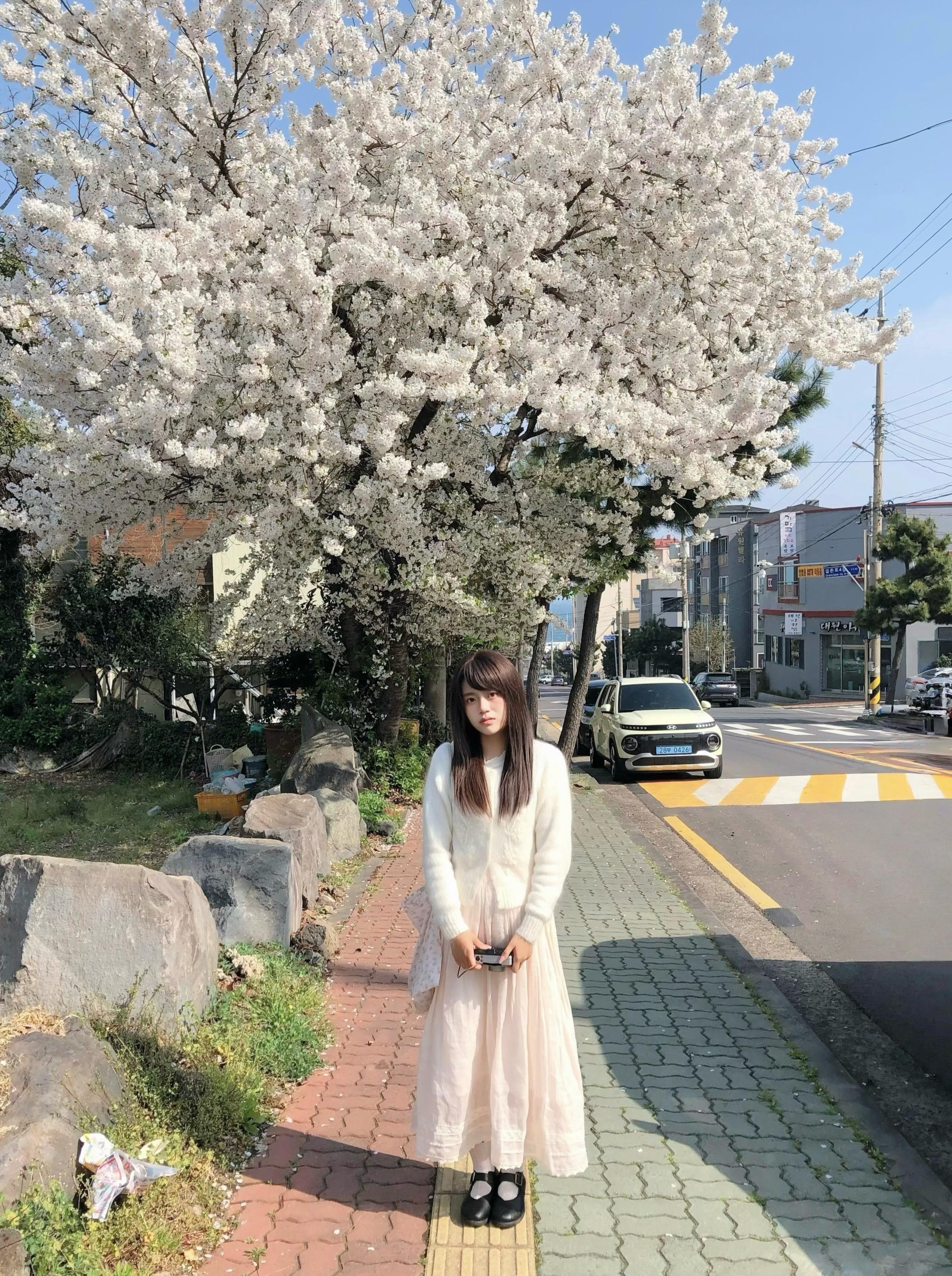 幸好这个世界还有明亮的春天。