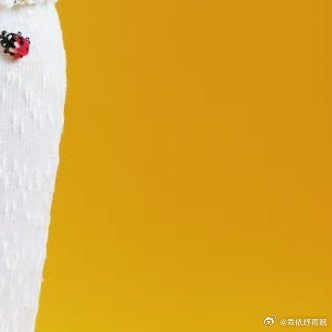 心怀善意，便不惧岁月漫长。愿你在喧嚣的生活里，修得一颗素心，把平淡日子过得丰盈，
